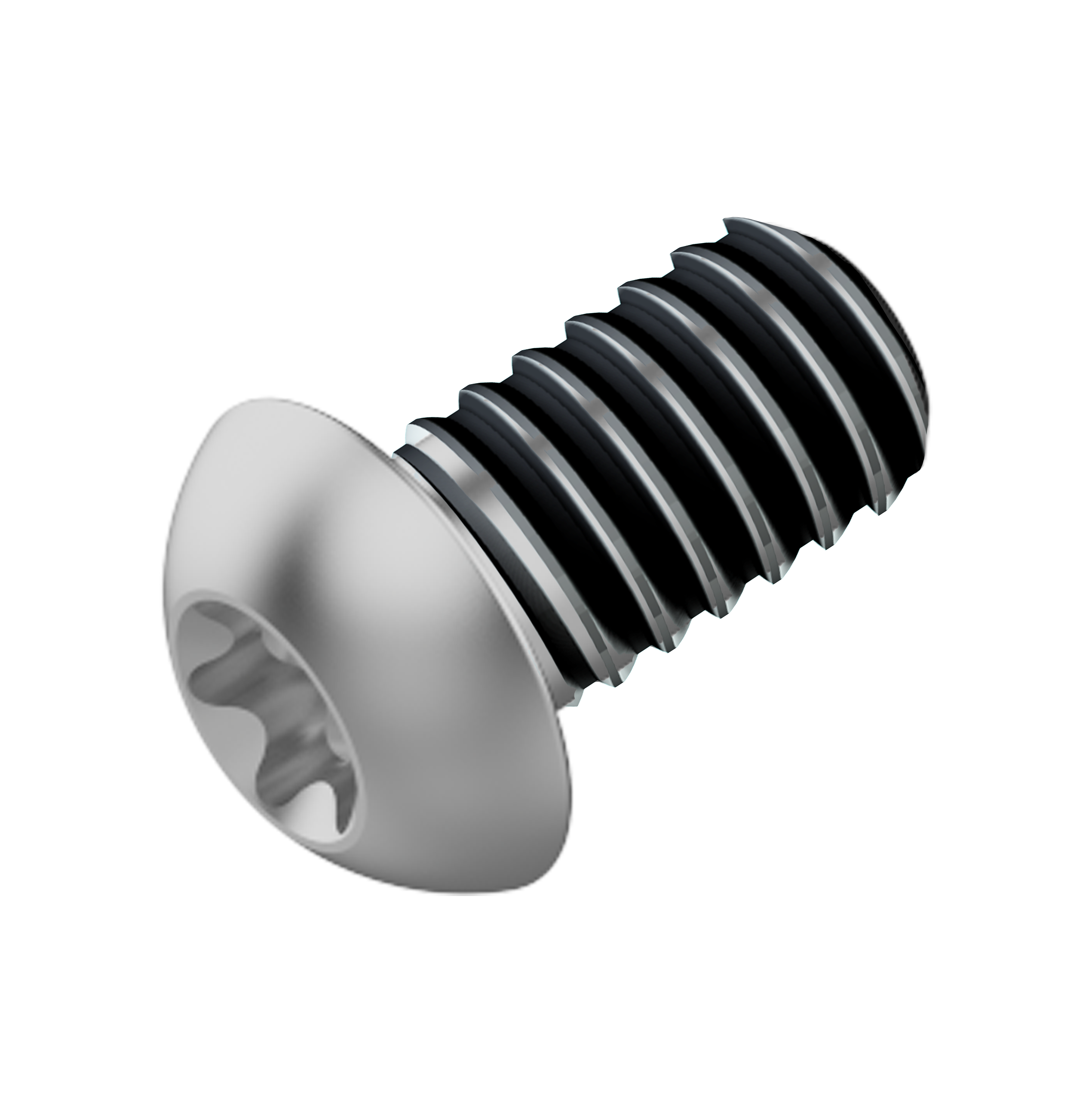 Fahrwerker remschijf bout M5x10 LEV tl (120 stuks)